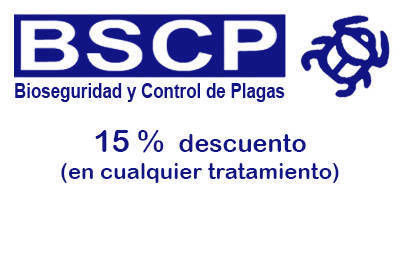 BSCP